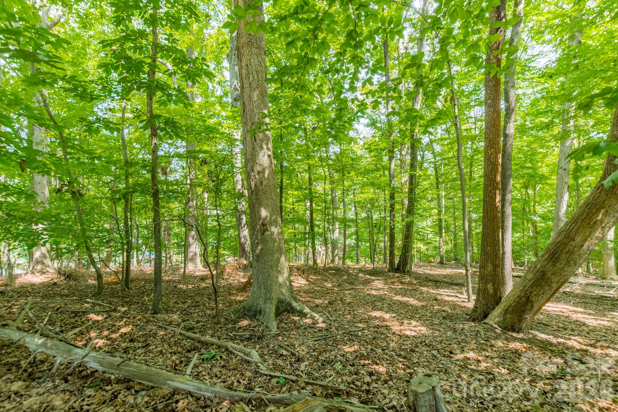 195 Agnew Road