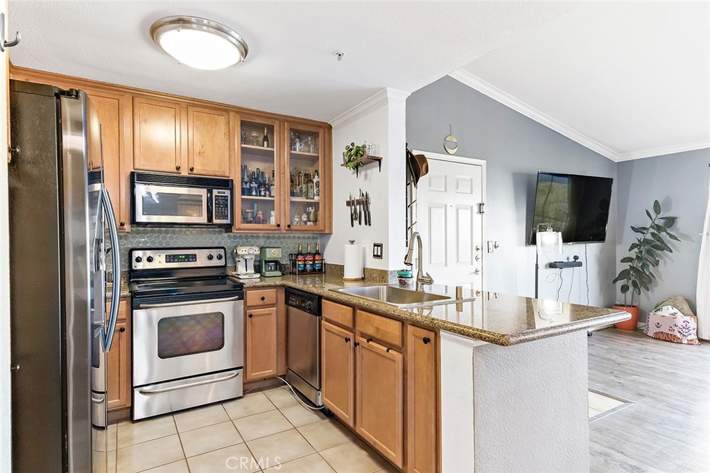1023 Vista Del Cerro Drive 303