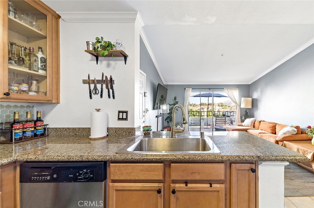 1023 Vista Del Cerro Drive 303