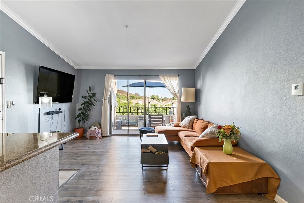 1023 Vista Del Cerro Drive 303