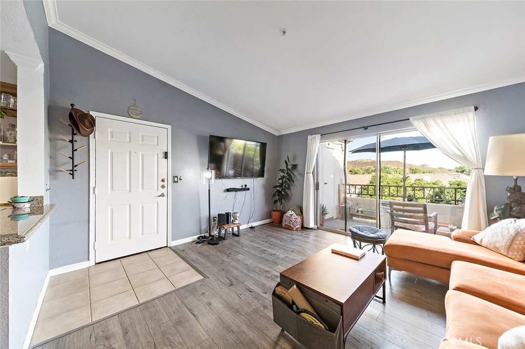 1023 Vista Del Cerro Drive 303