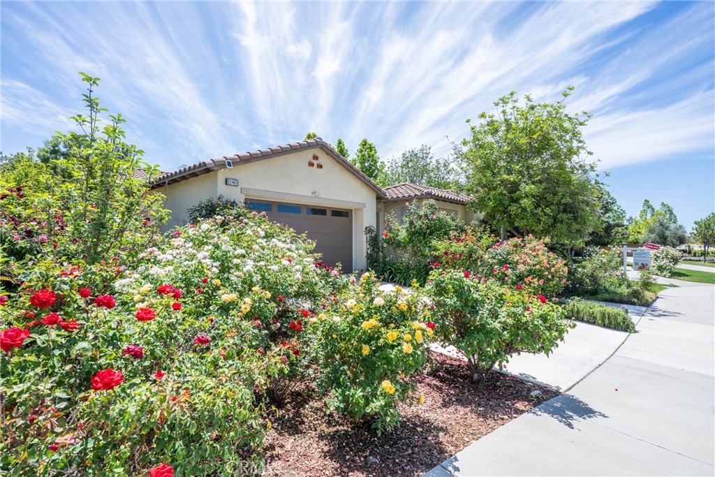 32461 Marietta Court