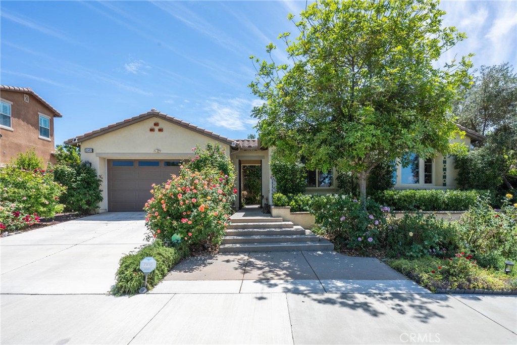 32461 Marietta Court