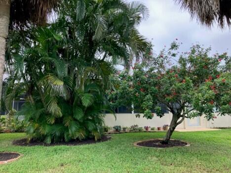 5730 Fernley Drive E 12