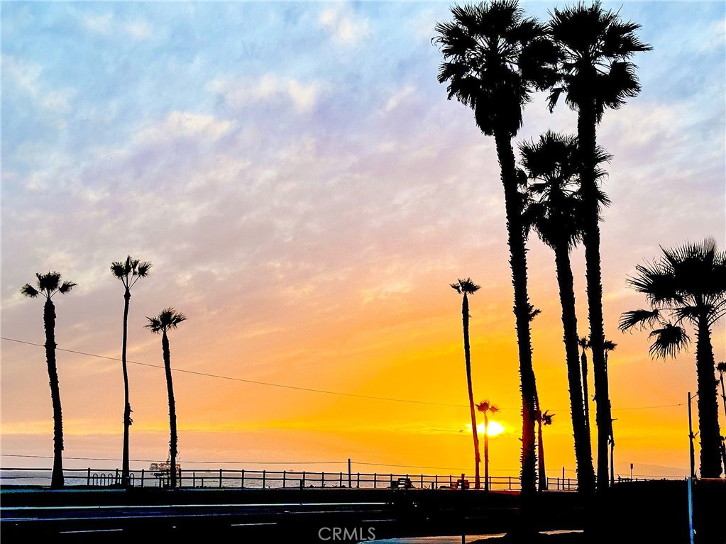 Palm trees silhouetted against a vivid sunset over the coast.