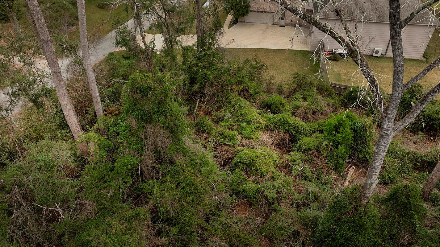 552 Stephen F Austin Drive