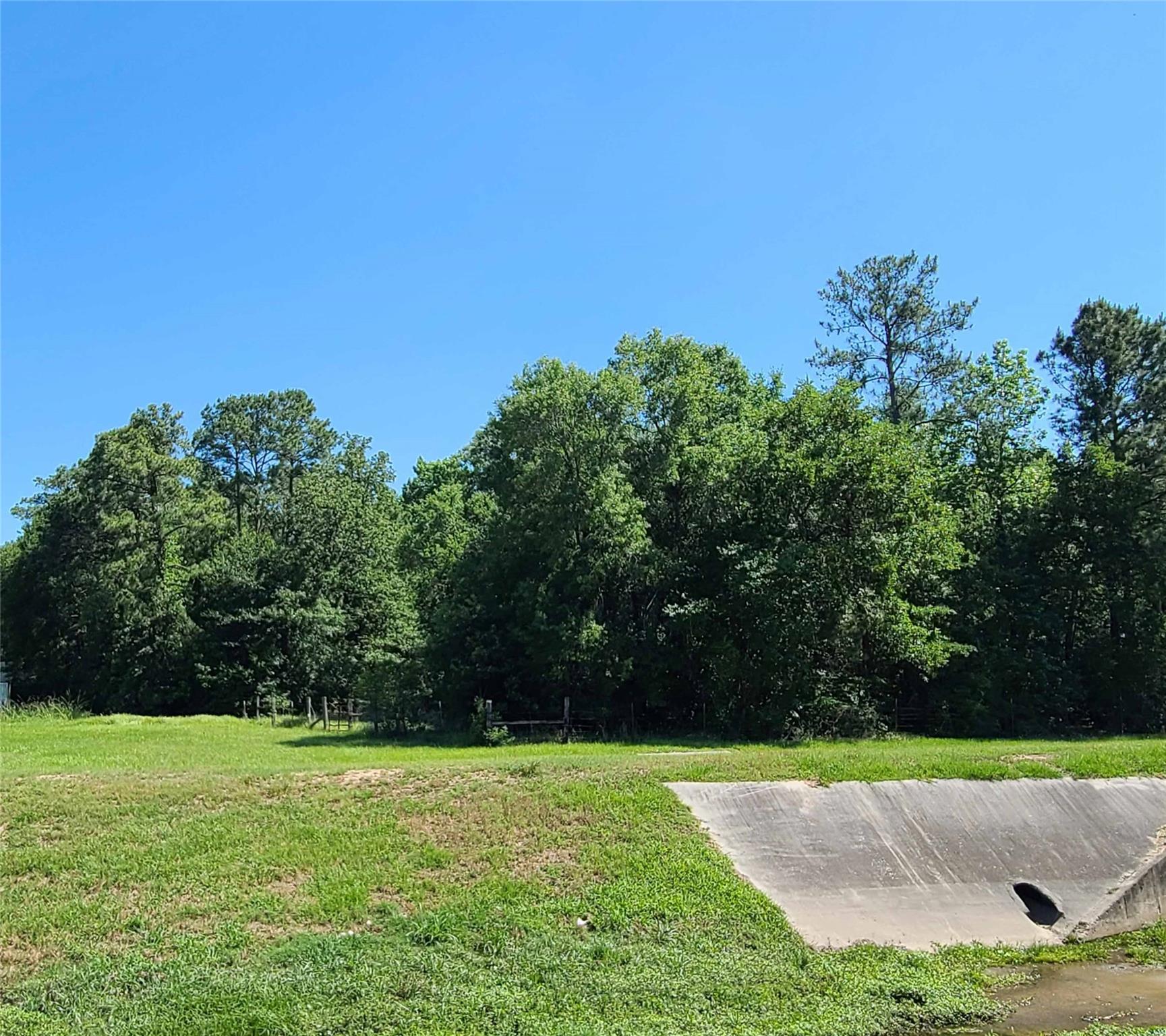 411 Springwood Drive