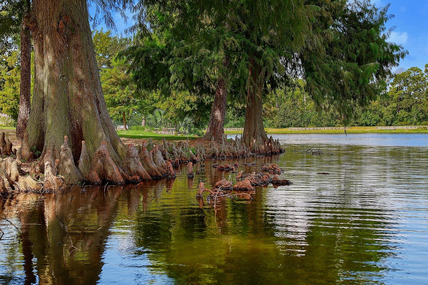 3 Black Cormorant Place