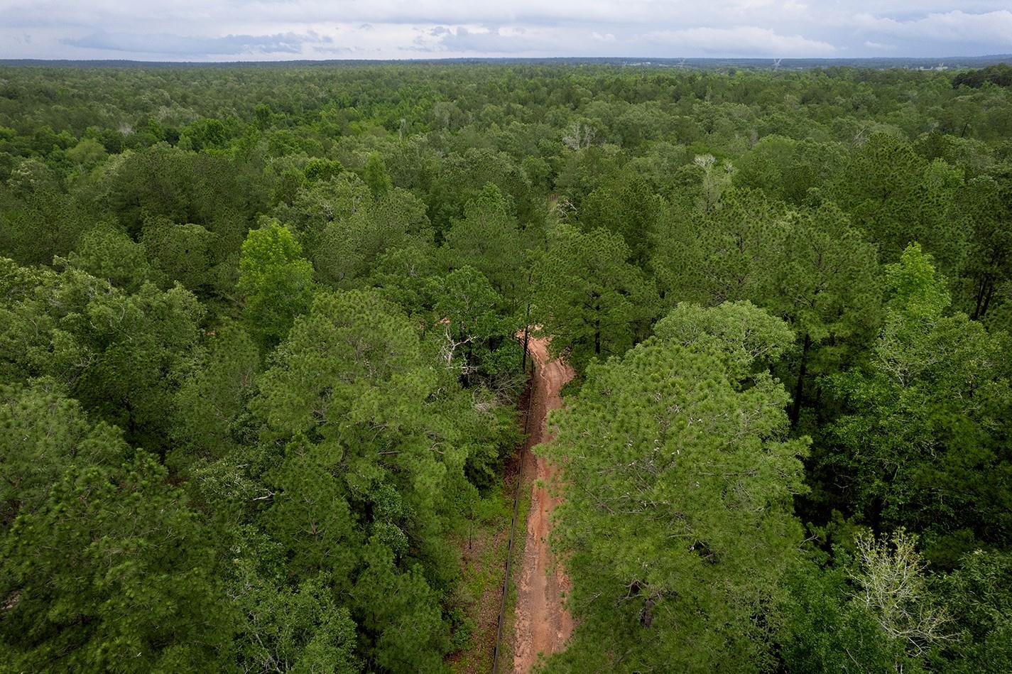 TBD Saratoga Woods Drive