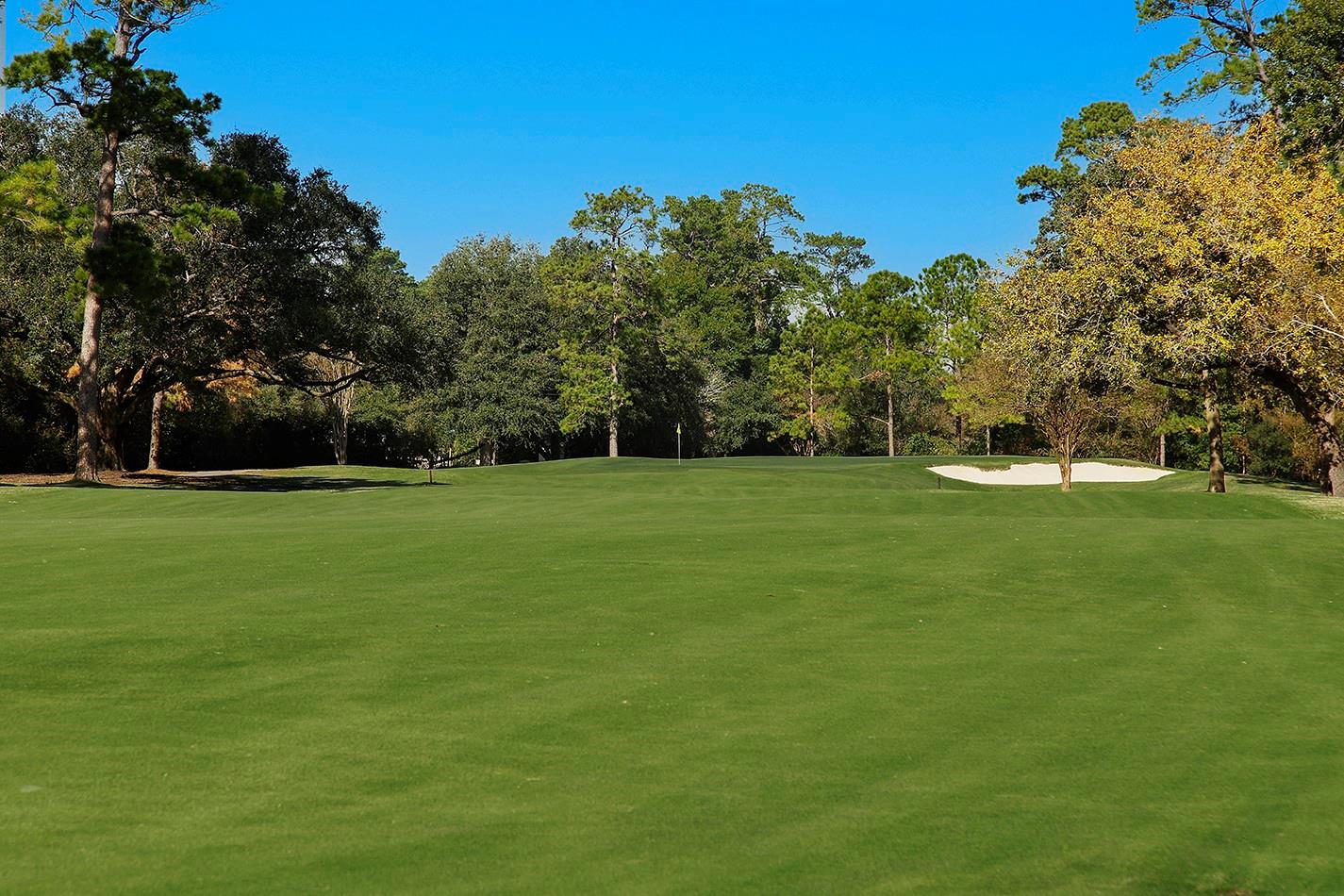 13115 Mission Valley Drive