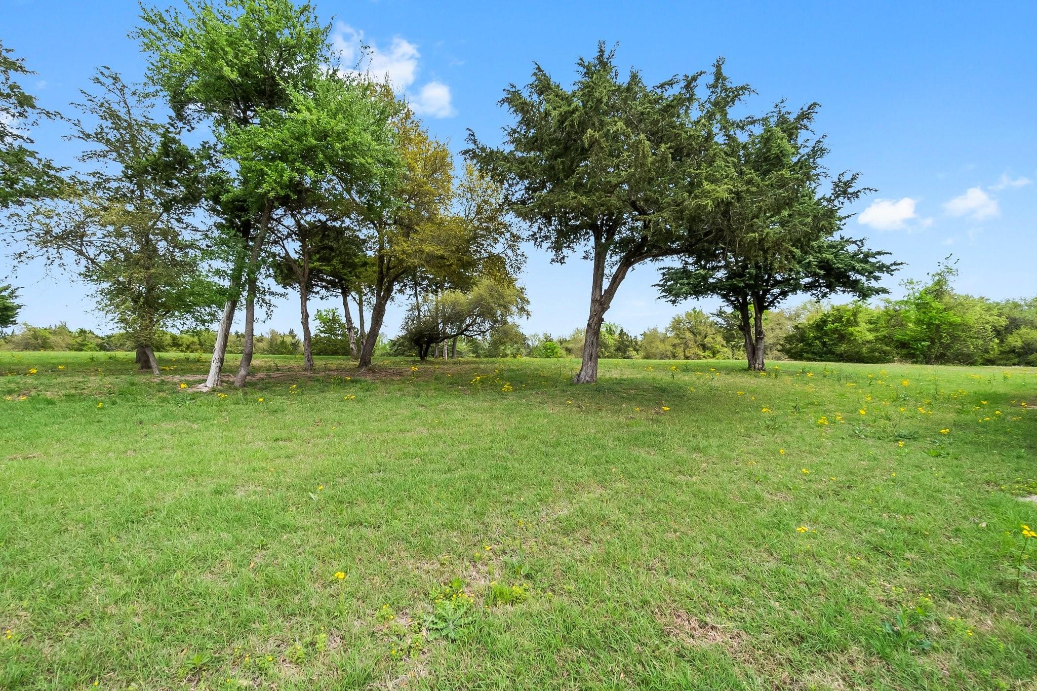2982 Fm 2935 Road