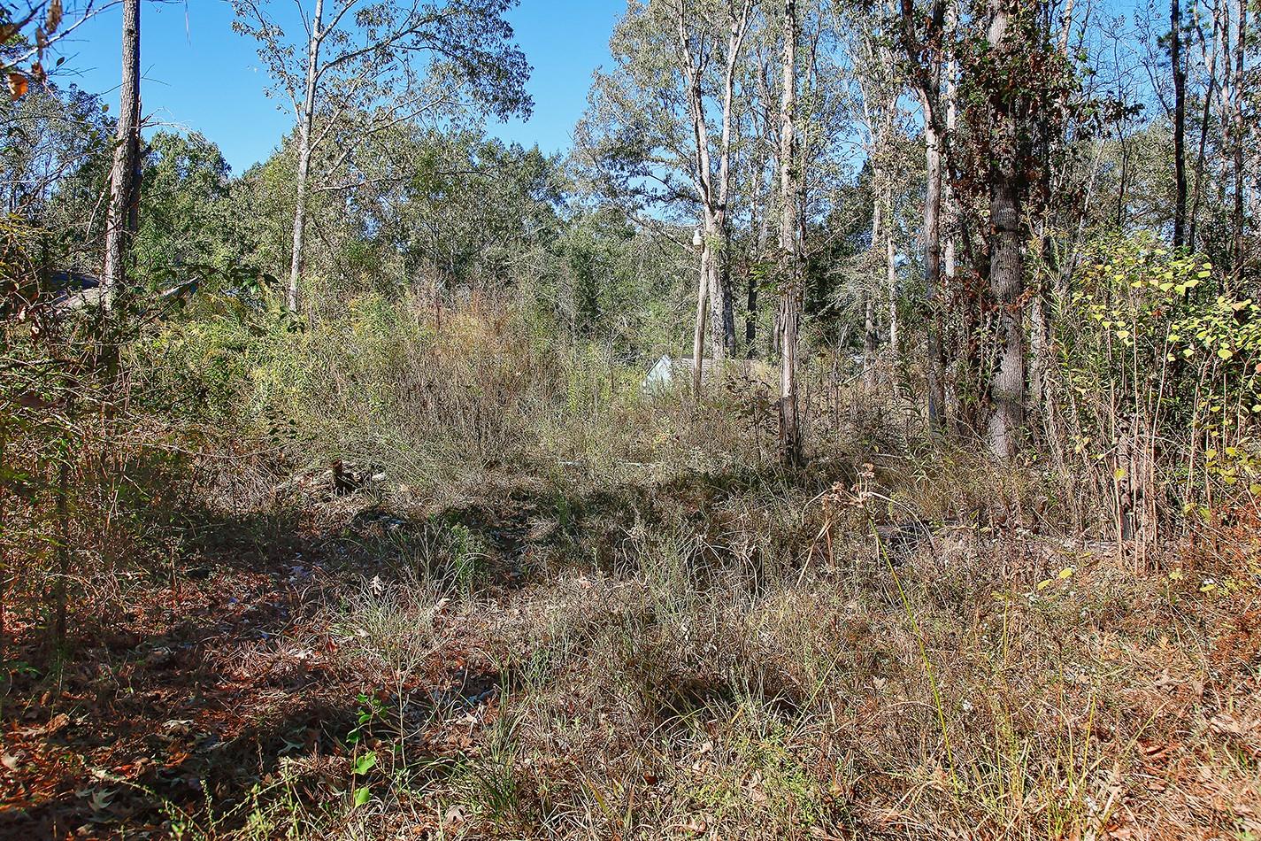 18533 Fm 1485 Road