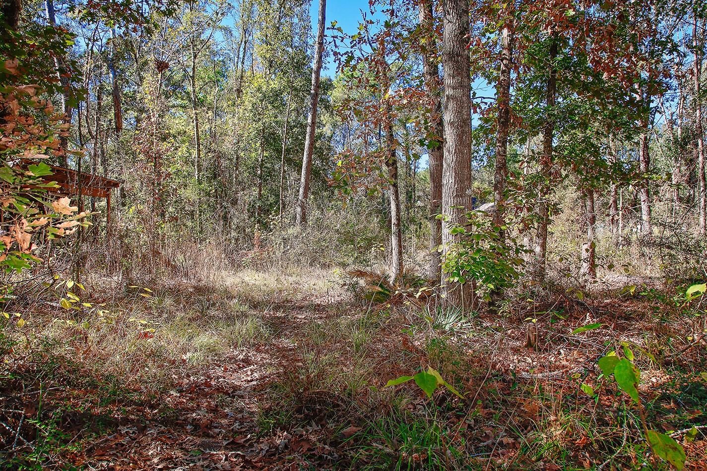 18533 Fm 1485 Road