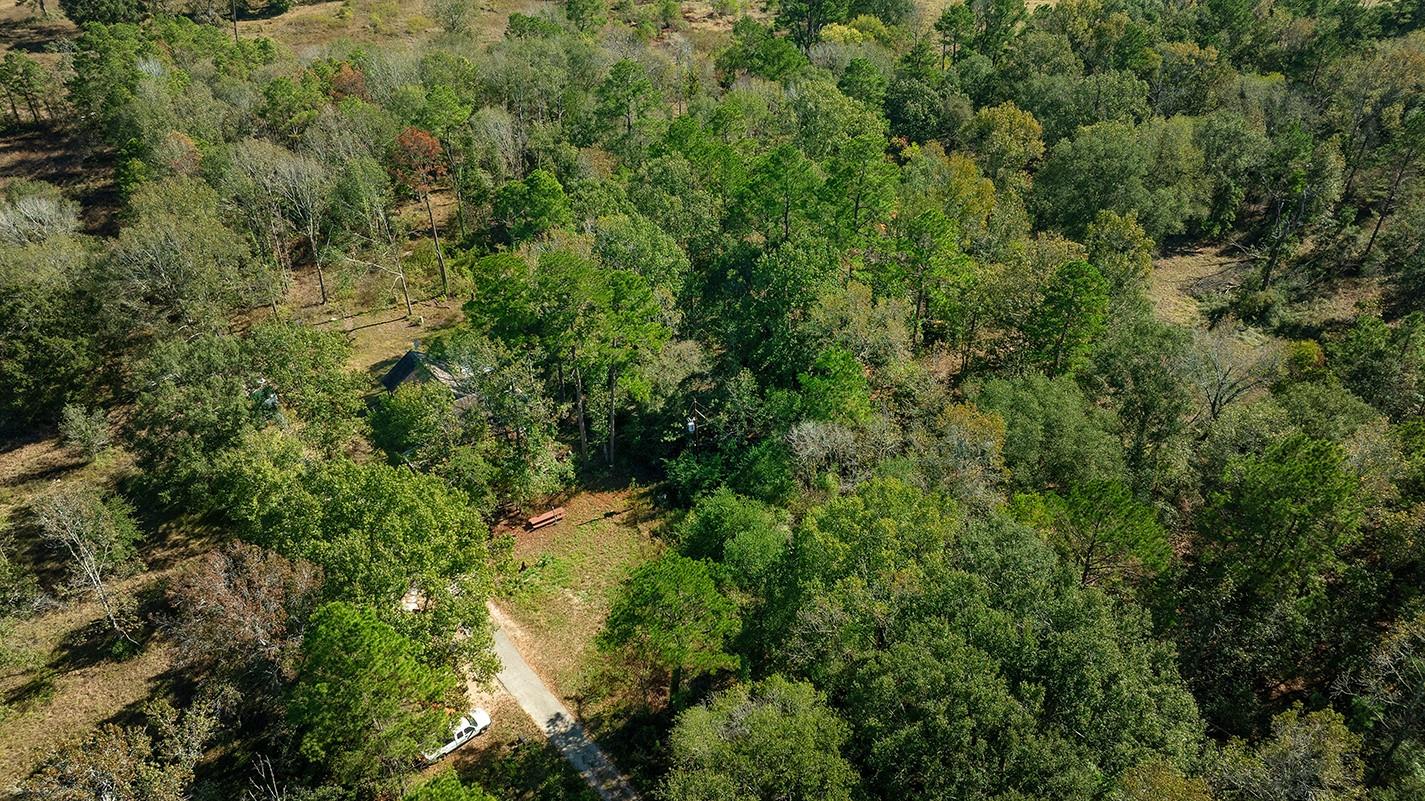 18533 Fm 1485 Road