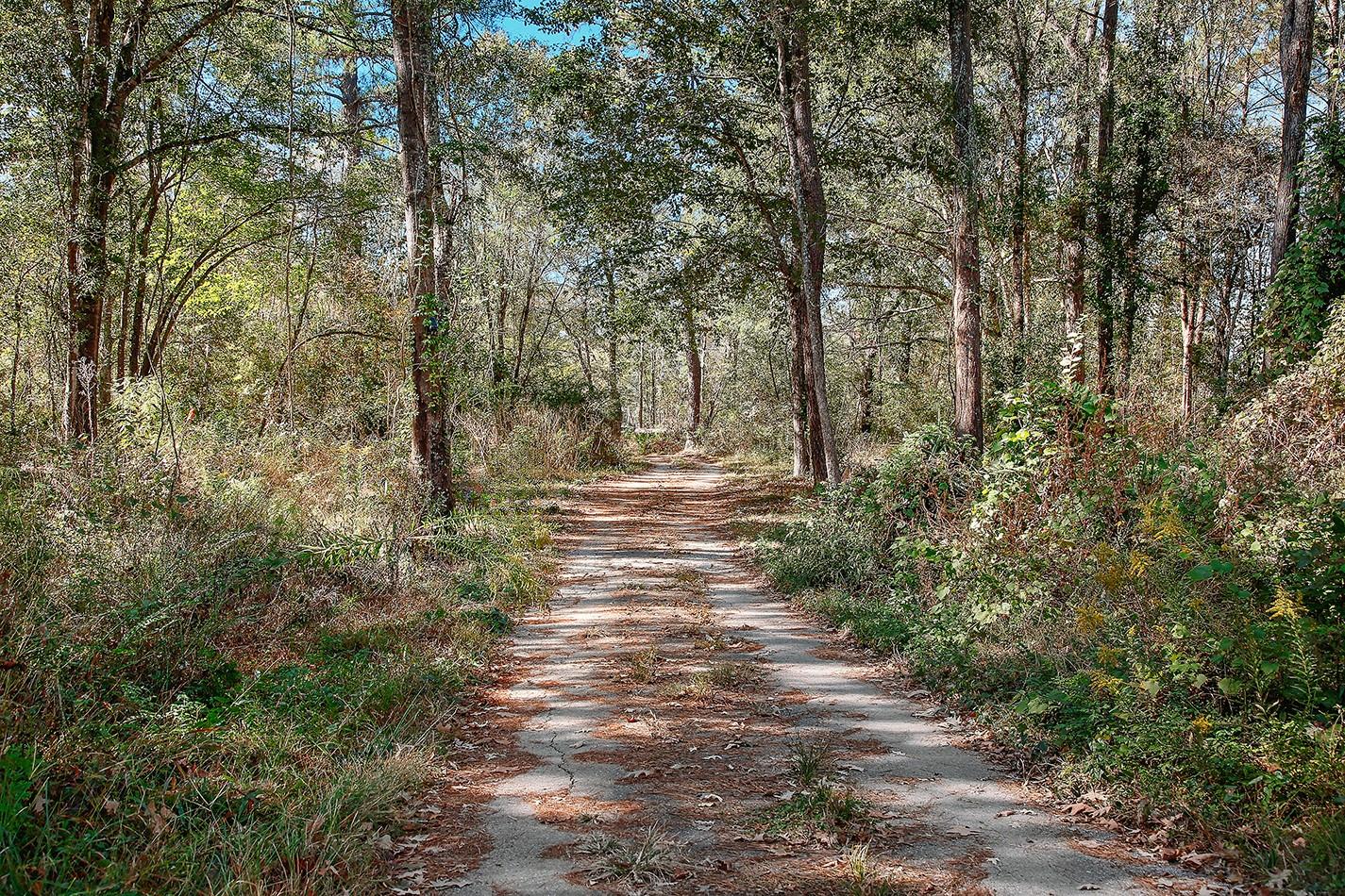 18533 Fm 1485 Road