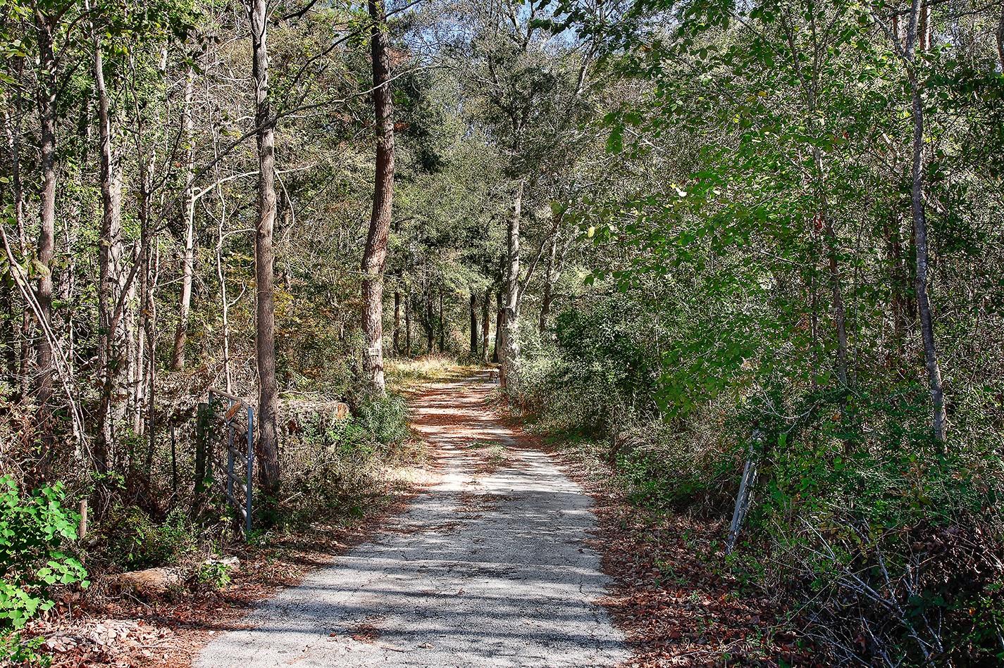 18533 Fm 1485 Road