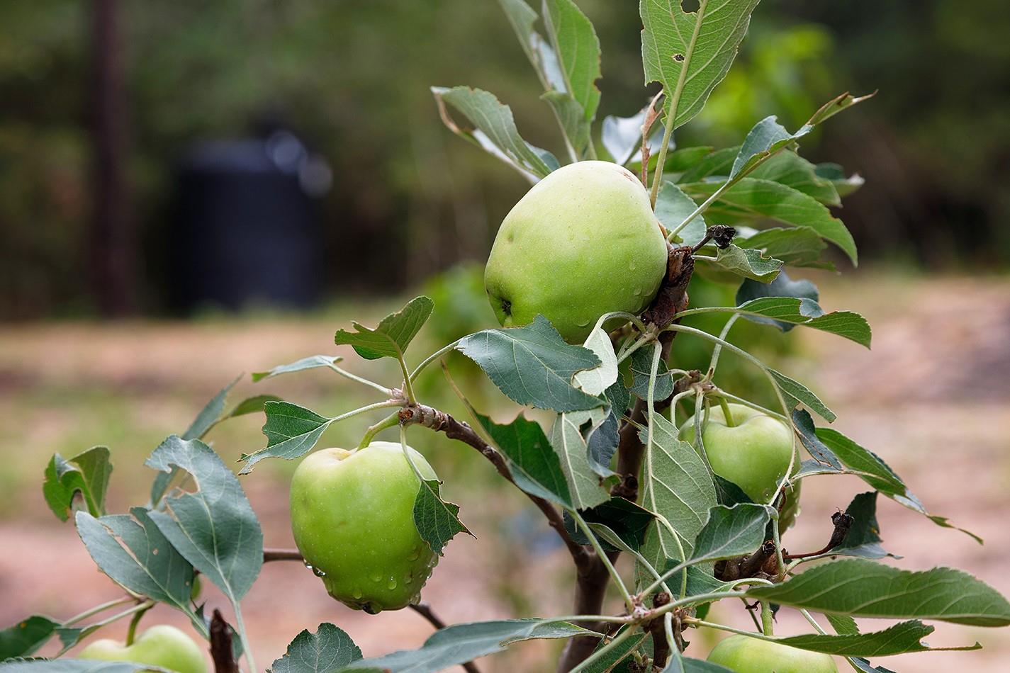 TBD Saratoga Woods Drive