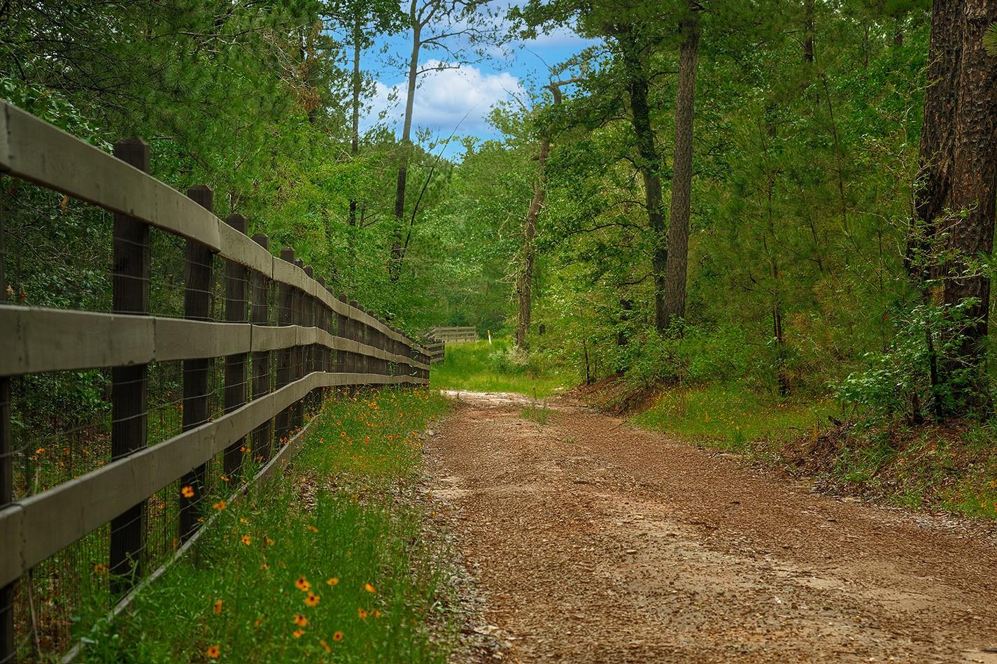 TBD Saratoga Woods Drive