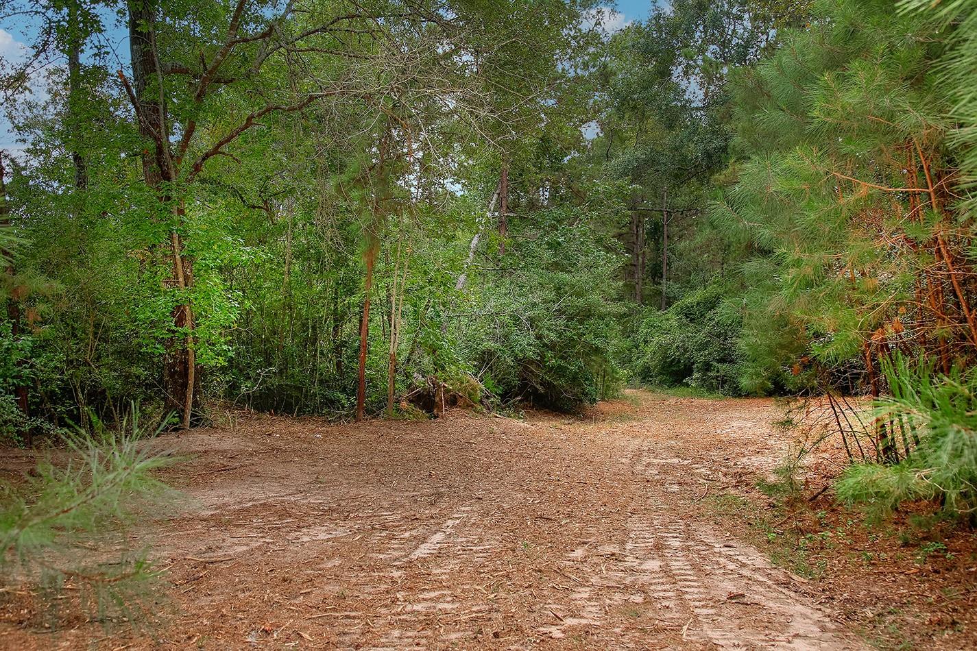 TBD Sky Oak Lane