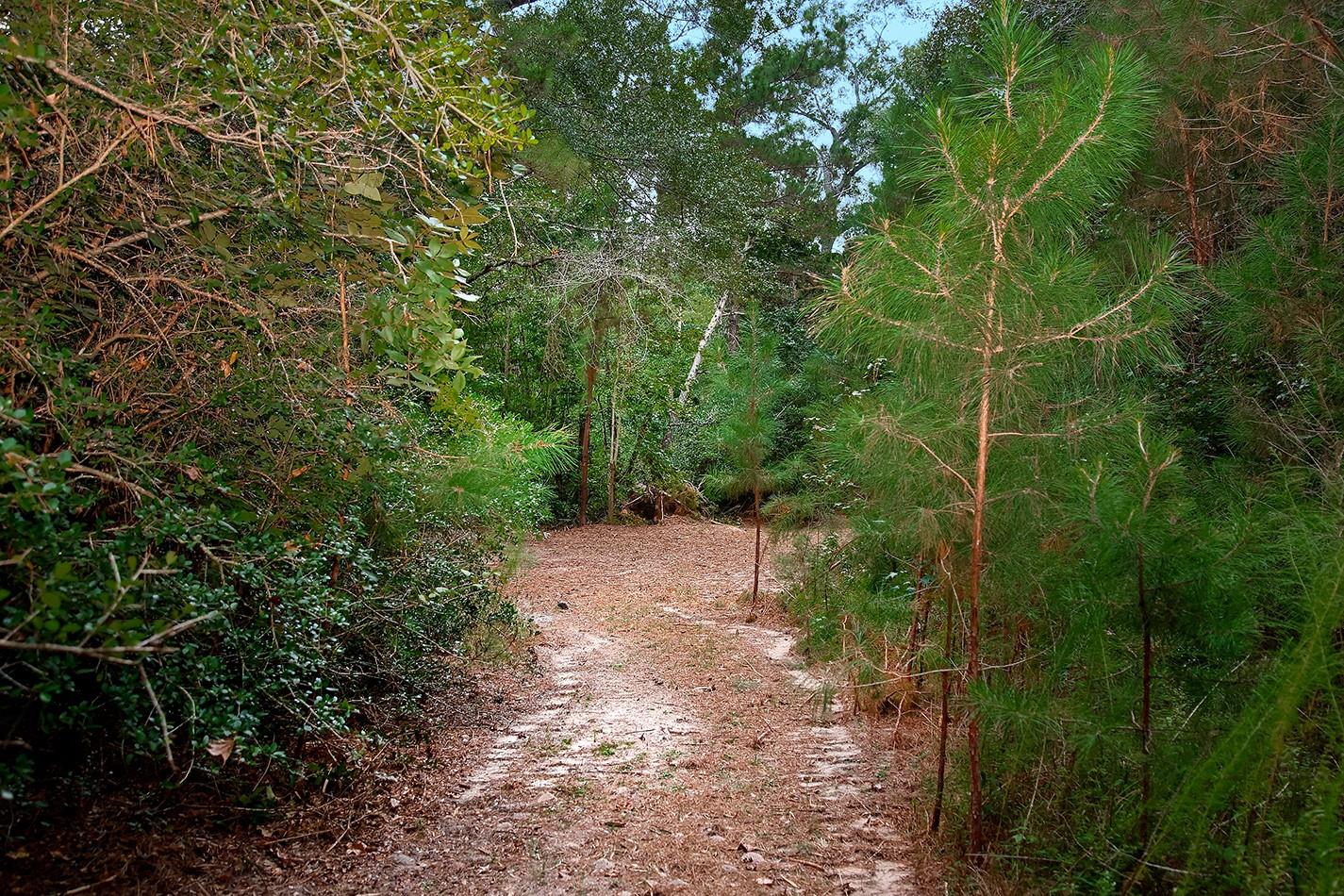 TBD Sky Oak Lane