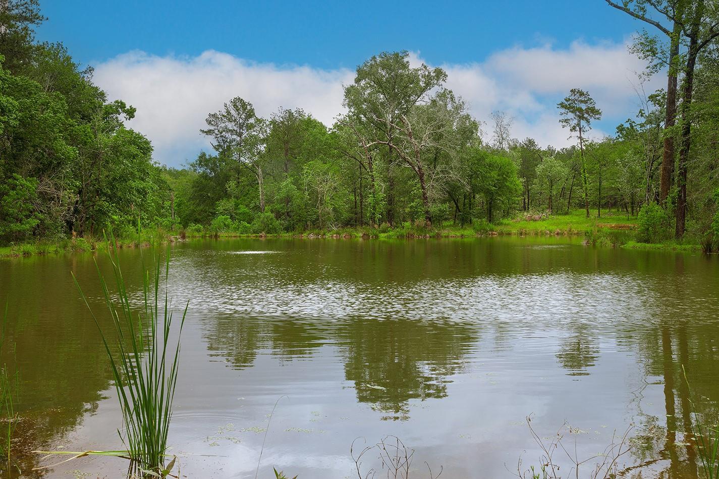 23514 Saratoga Woods Drive