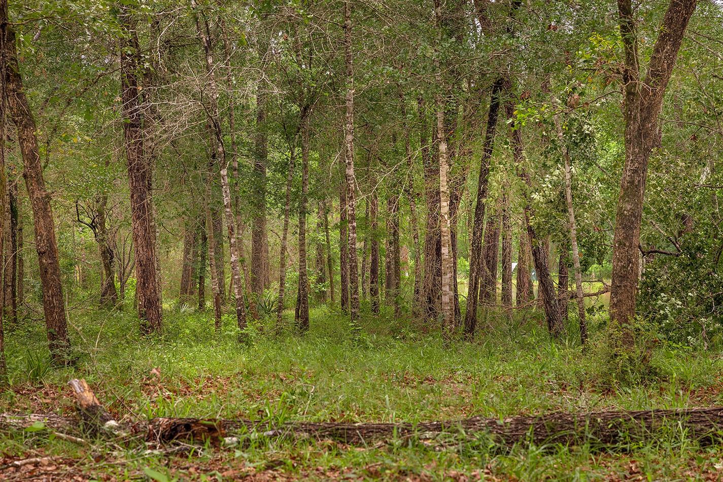 23514 Saratoga Woods Drive