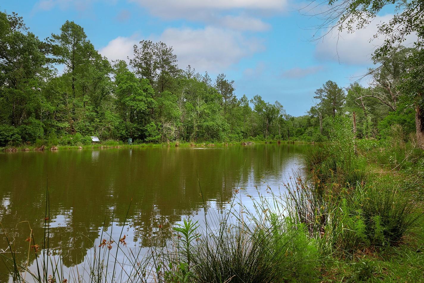 23514 Saratoga Woods Drive