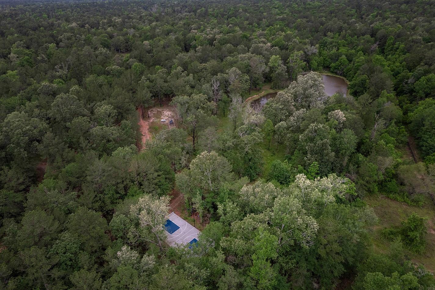 23514 Saratoga Woods Drive