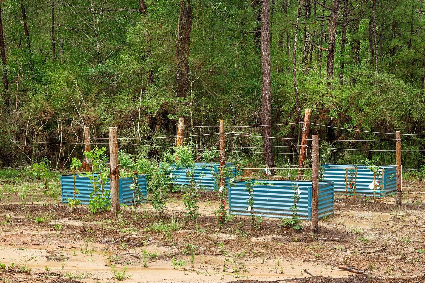 23514 Saratoga Woods Drive