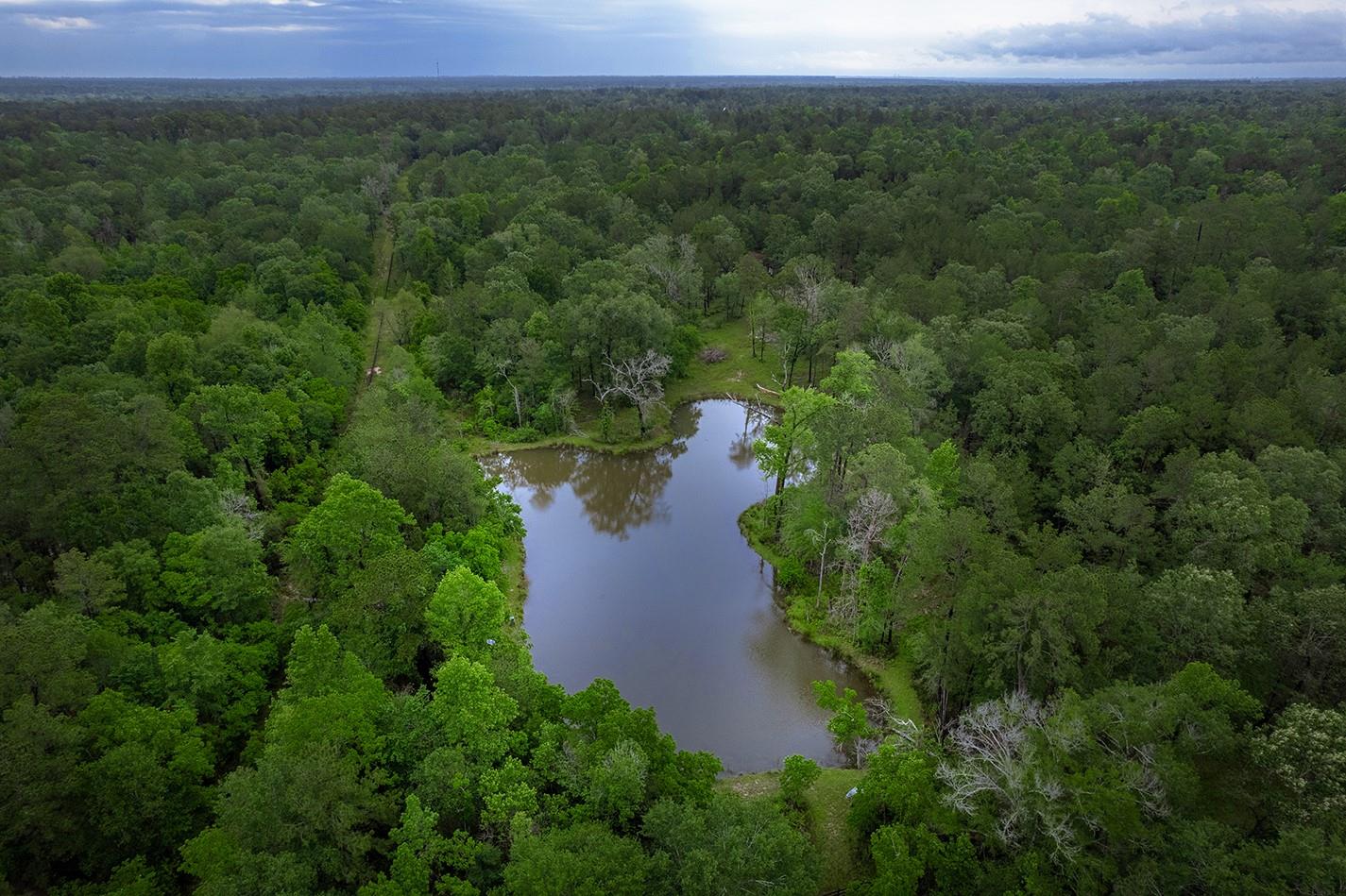 23514 Saratoga Woods Drive