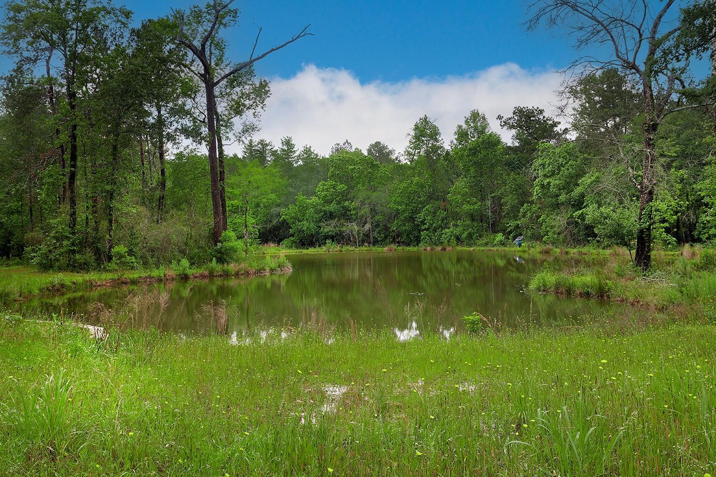 23514 Saratoga Woods Drive