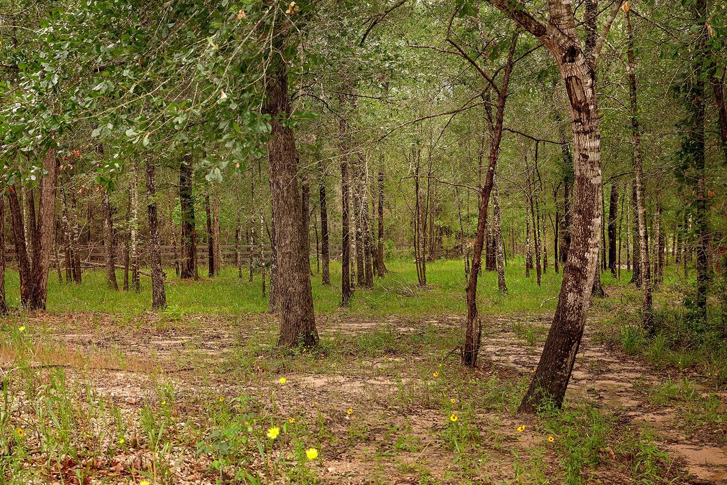 23514 Saratoga Woods Drive