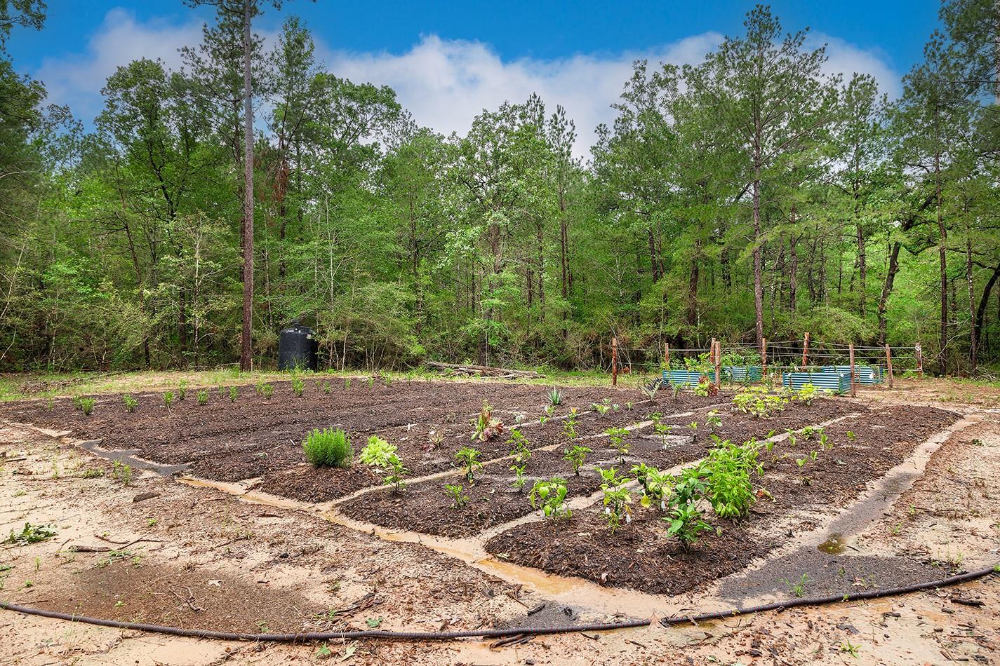 23514 Saratoga Woods Drive