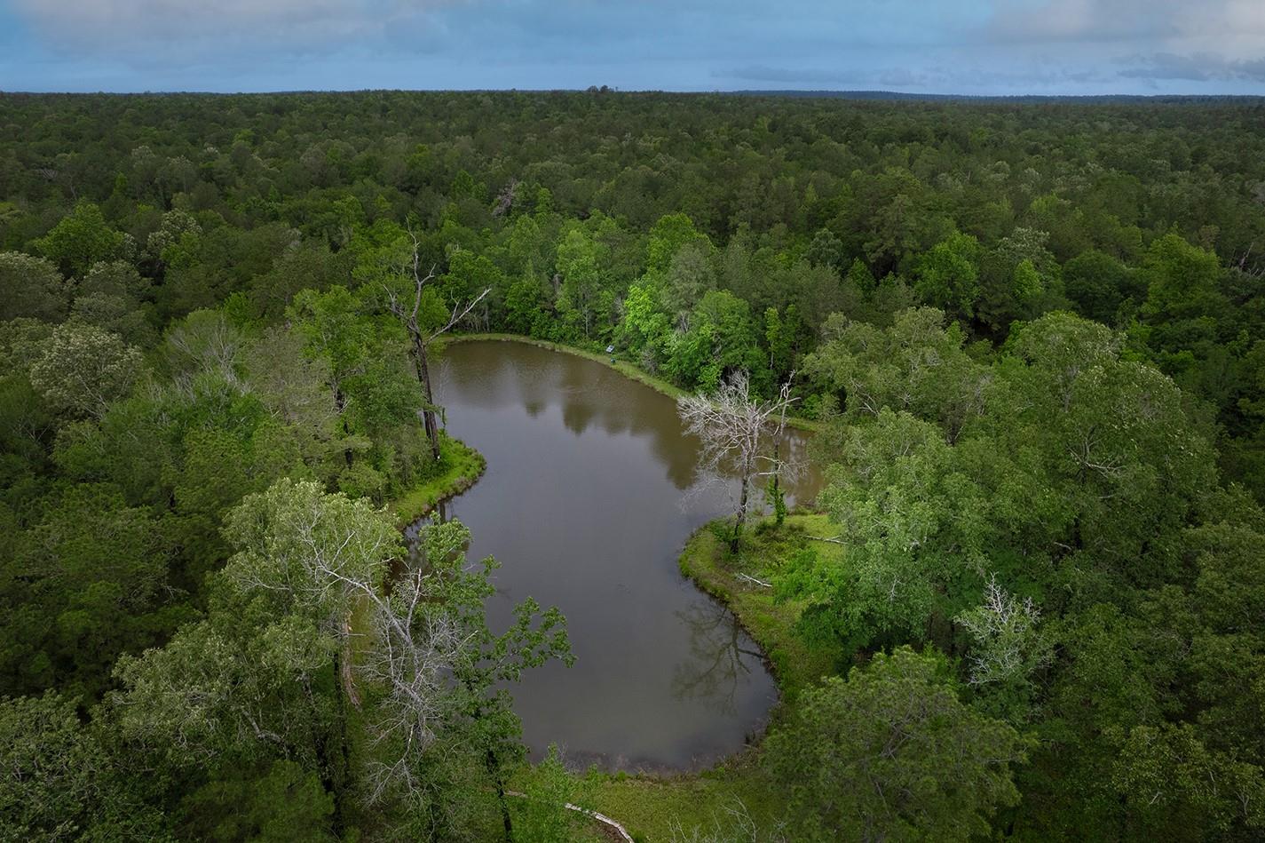 23514 Saratoga Woods Drive