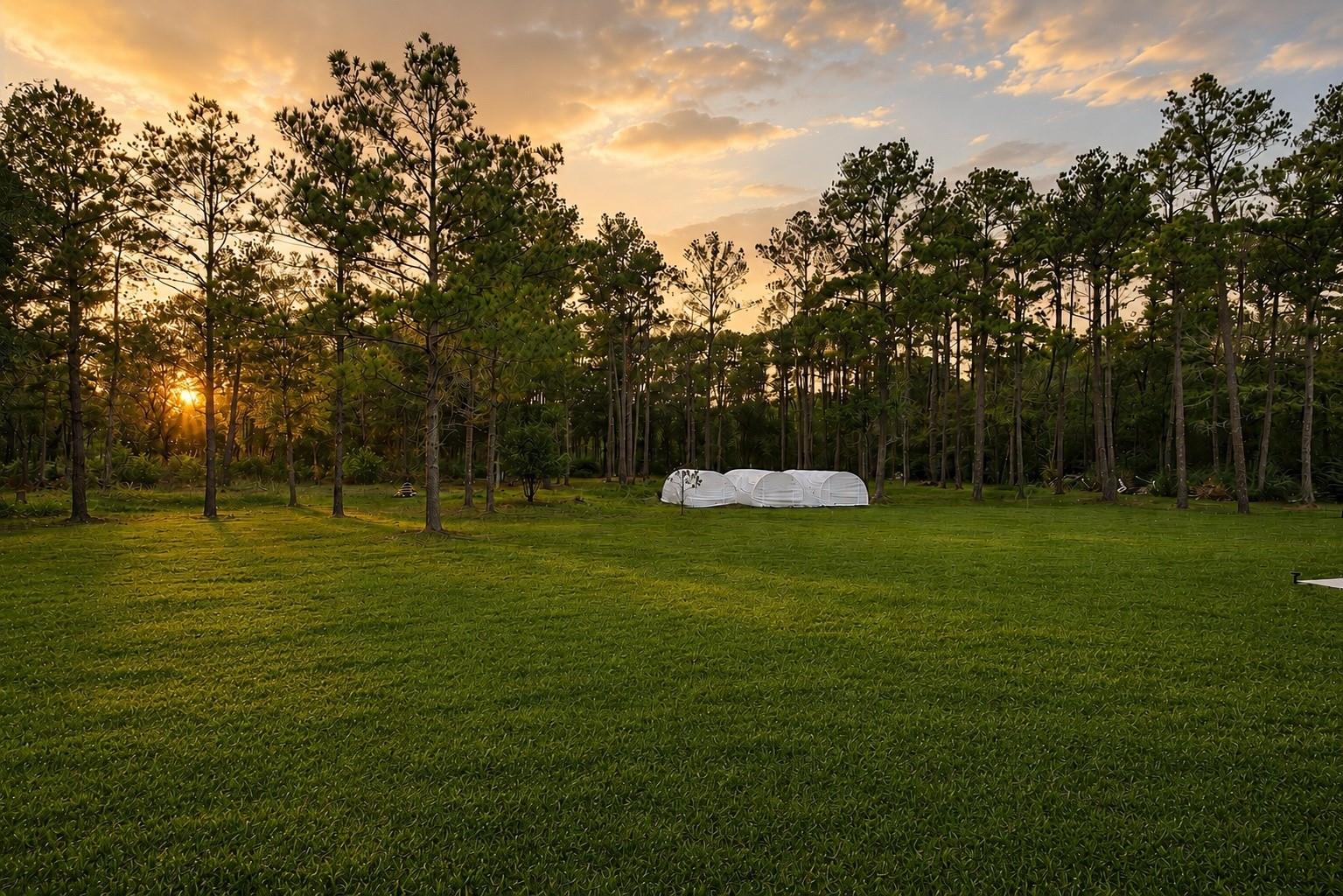 1031 Hunters Creek Way