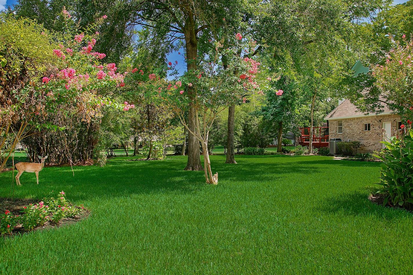 3134 Lake Island Drive