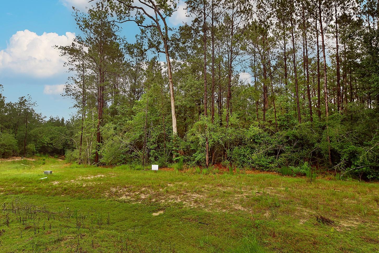 4809 Red Coyote Lane