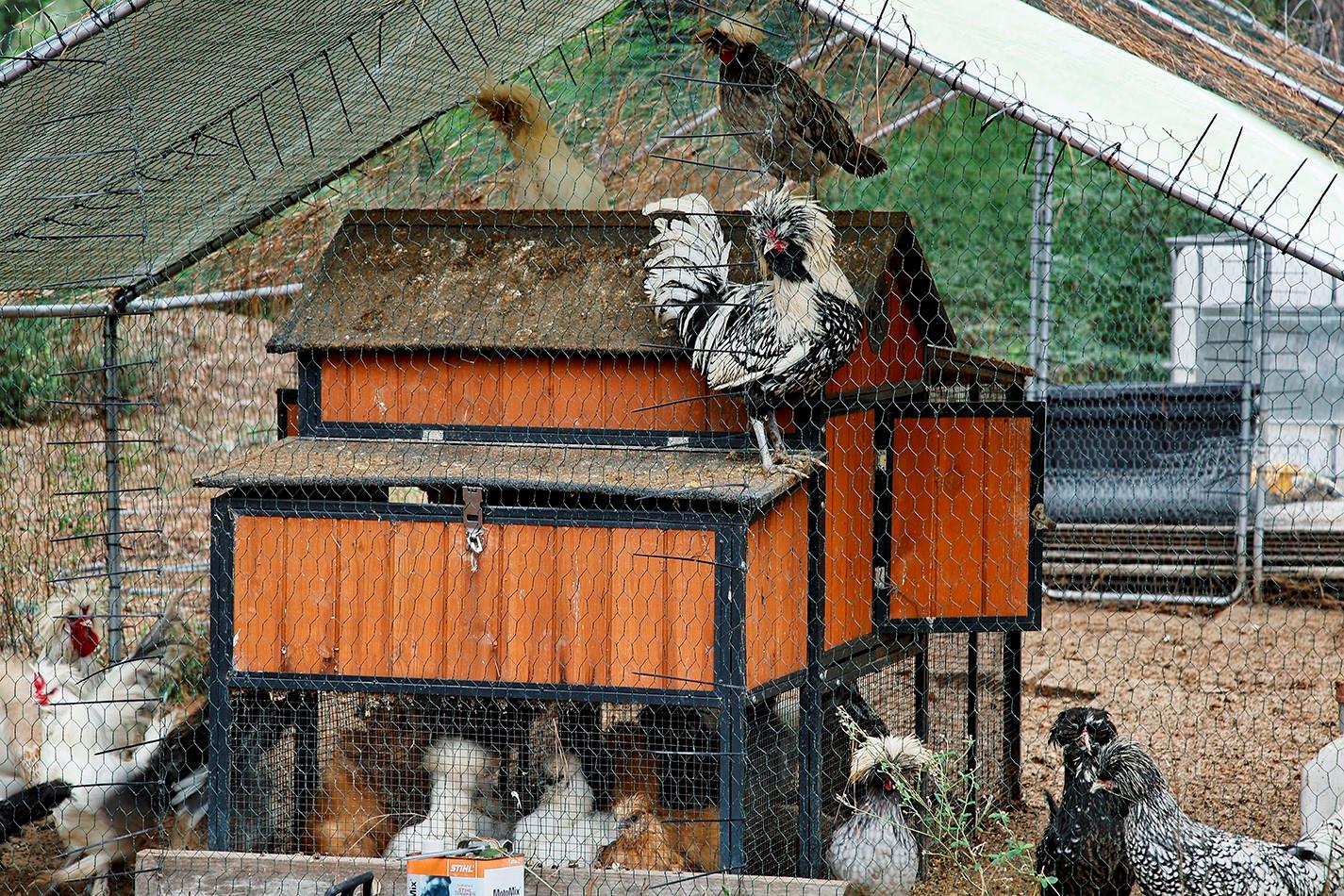 1031 Hunters Creek Way