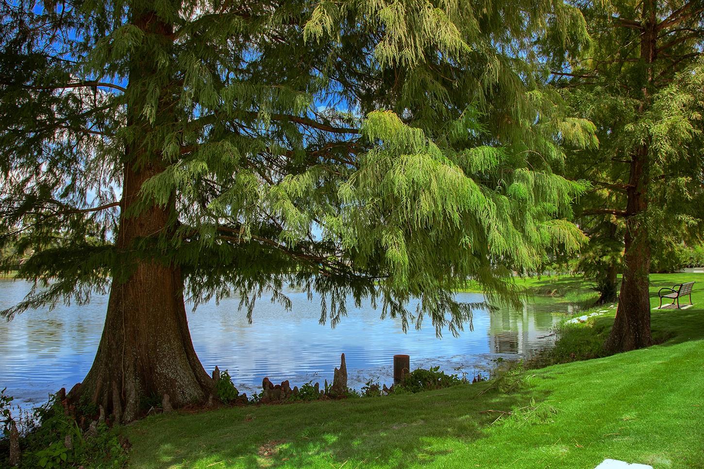 50 Secluded Trail