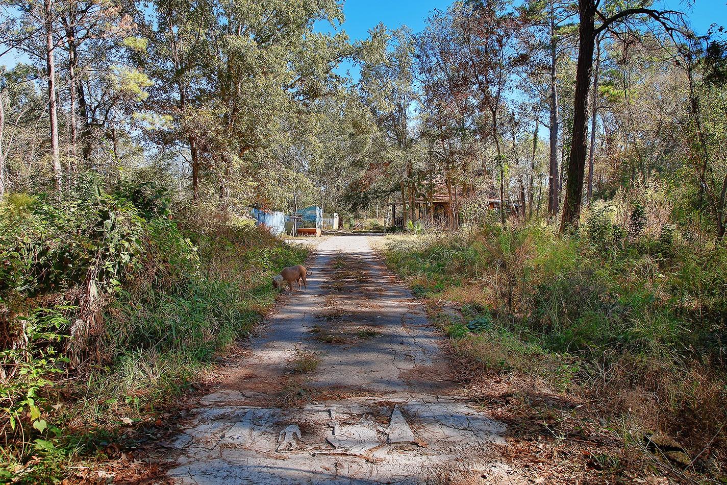 18533 Fm 1485 Road