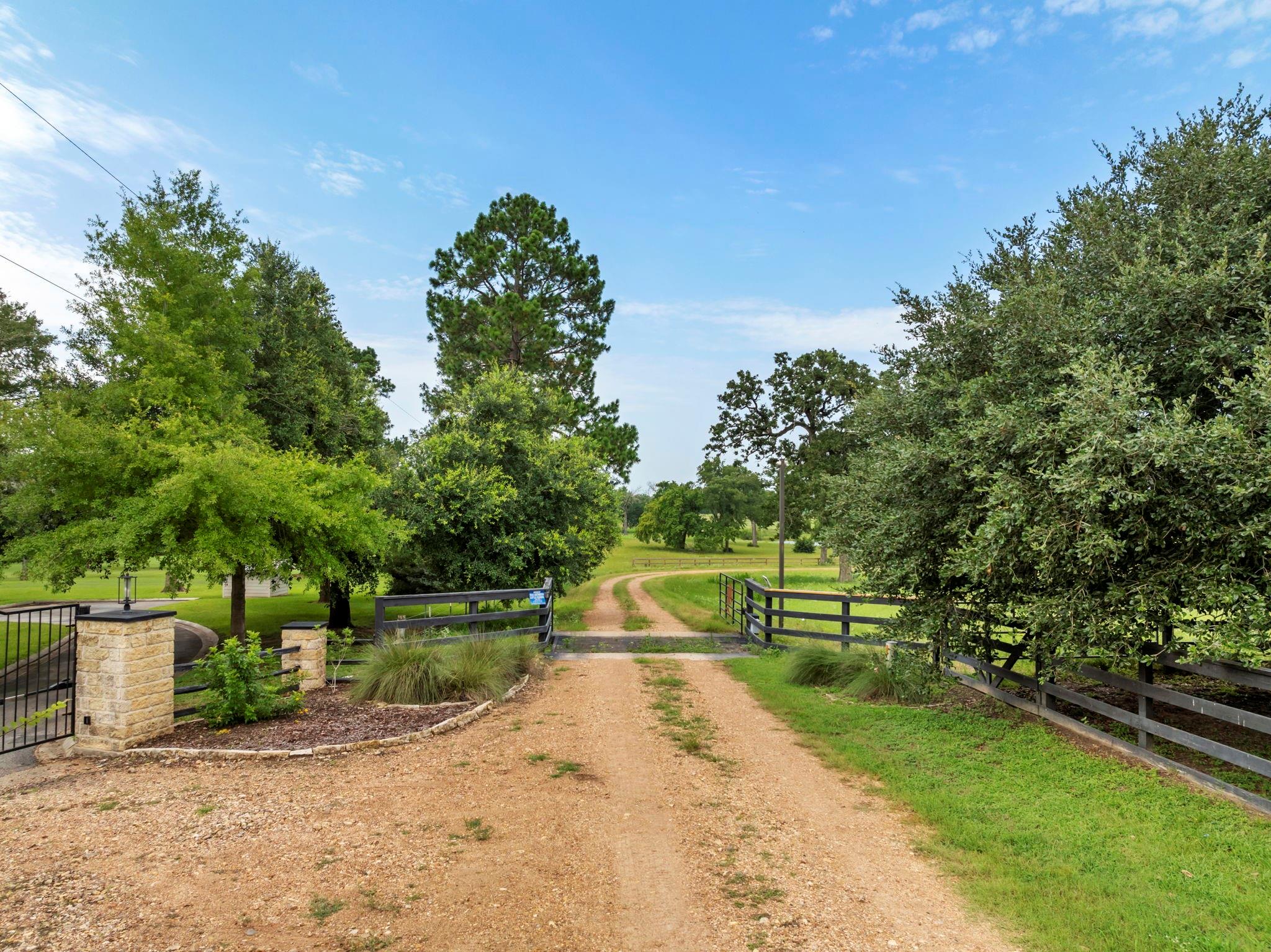 202 Blackberry Lane