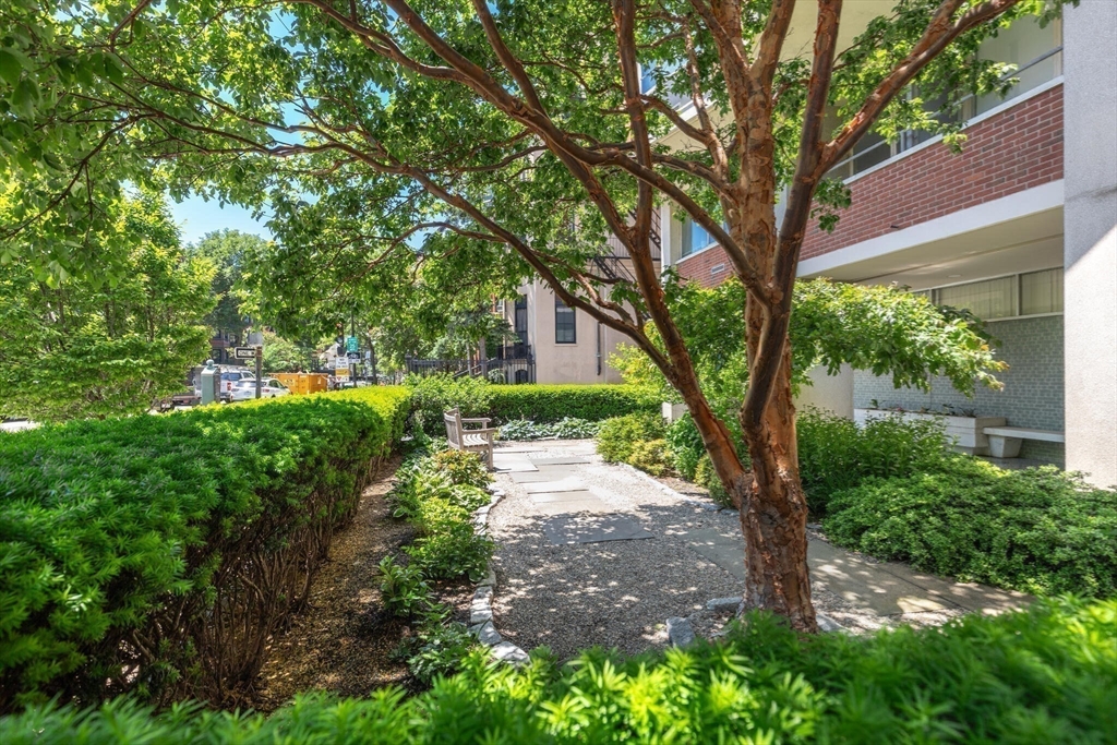 330 Beacon Street # 76