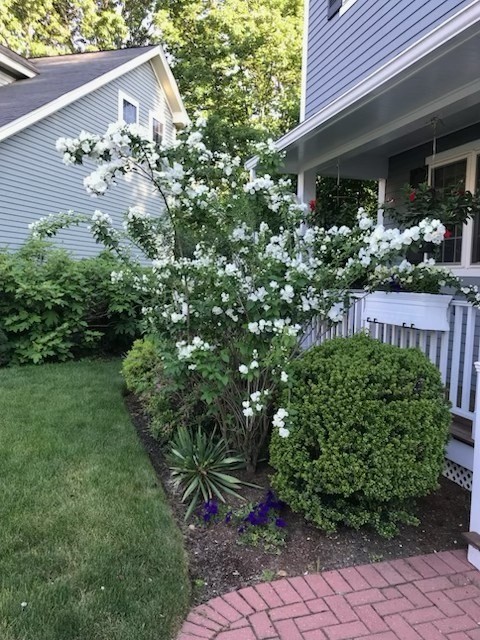8 Snowberry Lane