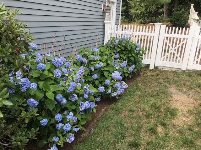 8 Snowberry Lane