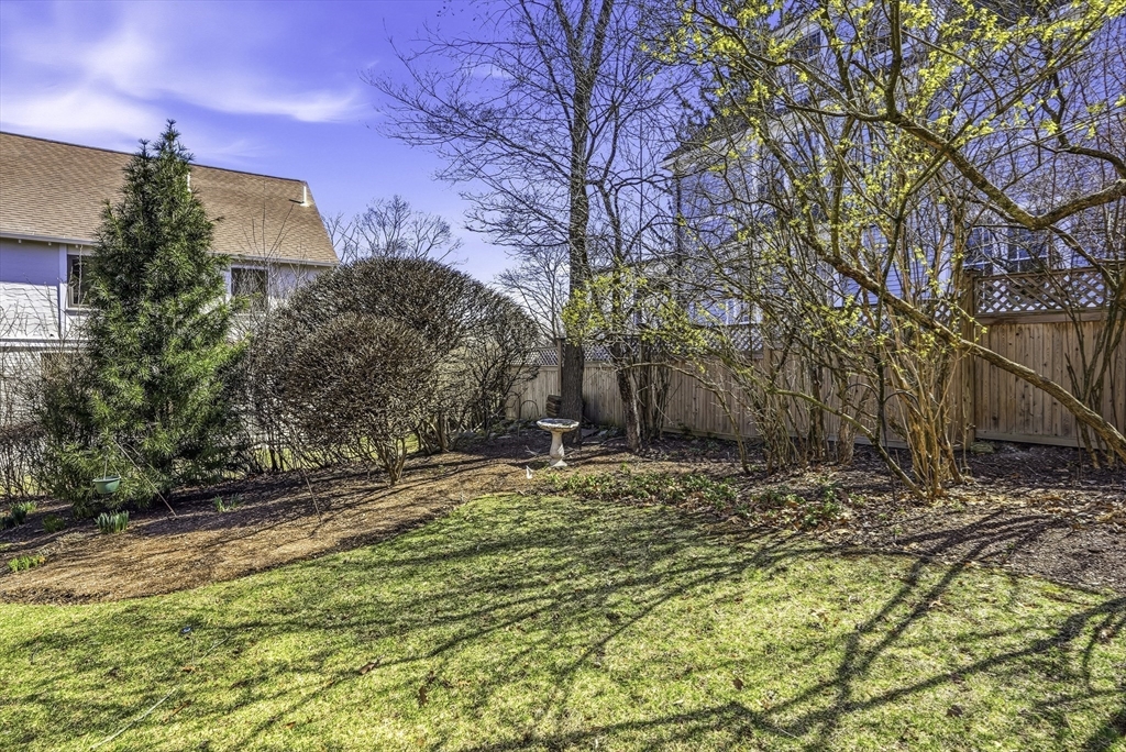 106 Waverley Ave