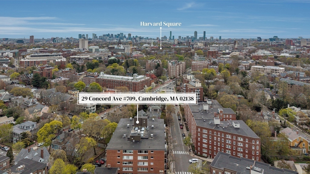 29 Concord Avenue # 709