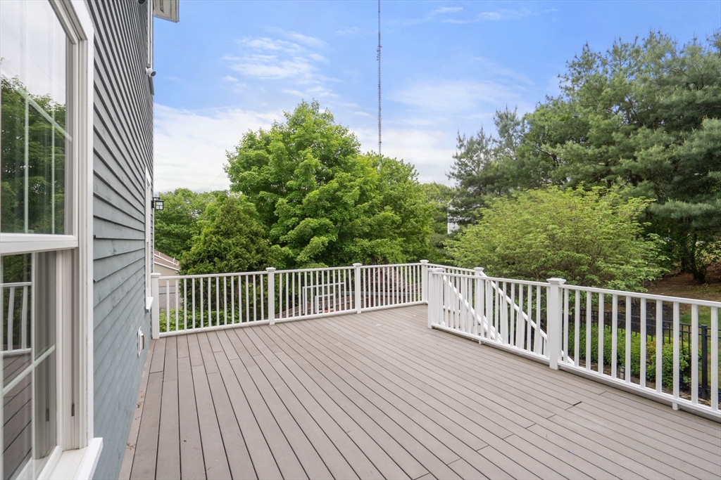 19 Dunedin Rd