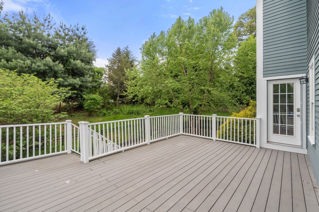 19 Dunedin Rd