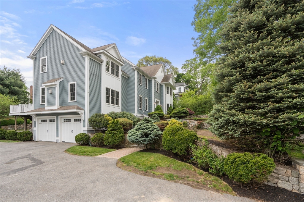 19 Dunedin Rd