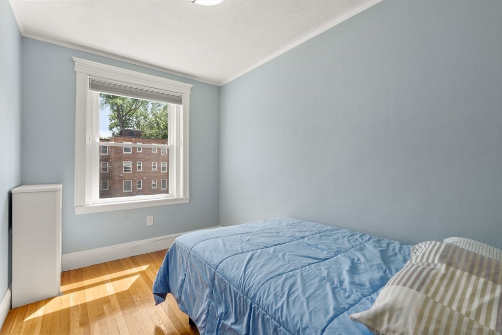 20 Egmont Street # 4